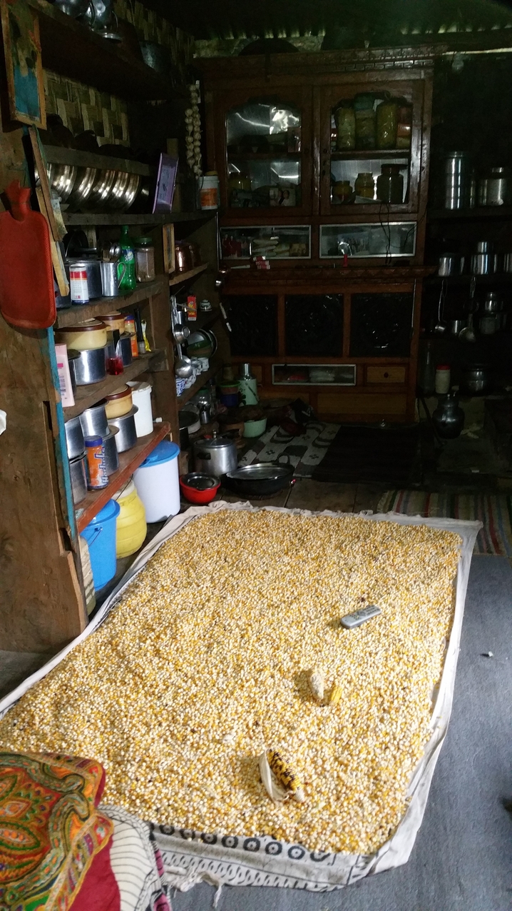 Nach der Regenzeit werden Mais, Bohnen und andere Feldfrüchte draußen in der Sonne getrocknet. Ansonsten eben im Haus. Das wurde vor dem Erdbeben im Untergeschoss gemacht, nun geht es nur noch in der Wohnstube.
