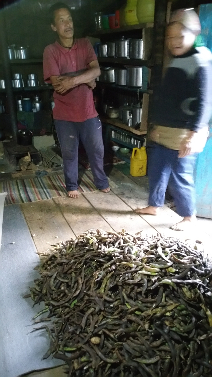 Bohnenernte im Haus gelagert. Alle Lebensmittel werden im Dorf selber angebaut. Nur wenige Dinge werden kekauft, schließlich muss alles 1200 Höhenmeter hochgetragen werden.
