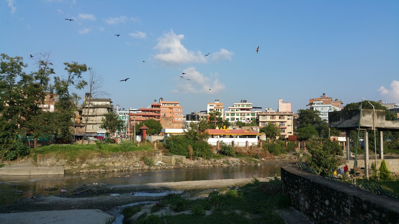 Vogelschwarm über dem Bishnumati.
