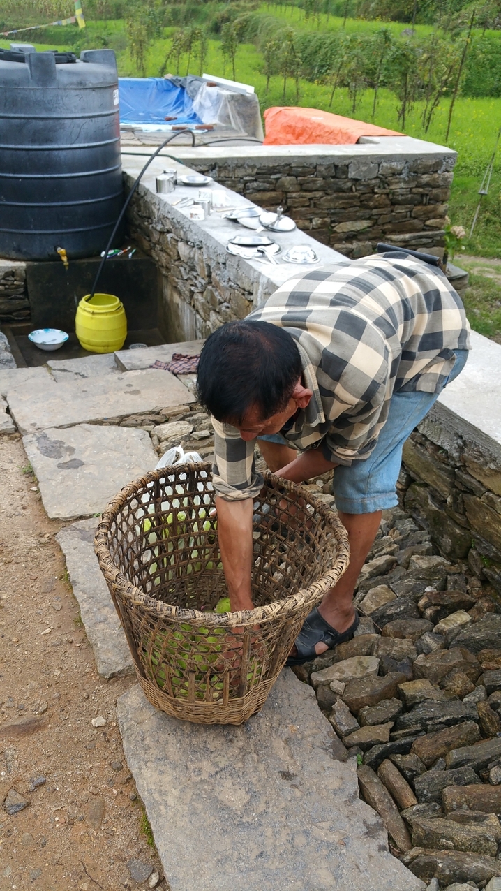 Frisch geerntet vom Baum am Rande der Schlucht schmecken die Iksatz (?) mit Kartoffel und Knoblauch richtig gut.
